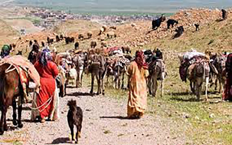پیام همبستگی جمعی از وابستگان ایل قشقایی در استان فارس با قیام سراسری مردم ایران