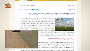 اعتراف رژیم-اگر برای مبارزه با ملخ ها کاری نشود تبدیل به بحرانی تازه در کنار سیل