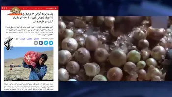 گرانی پیاز-افزایش۱۰برابری پیاز توسط واسطه ها با مدیریت غلط بازار