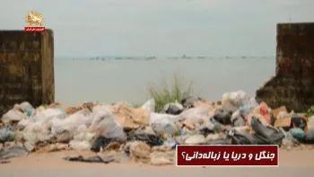 جنگل و دریا یا زباله‌دانی