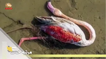 مرثیه خاک در حکومت قتل عام - قسمت اول