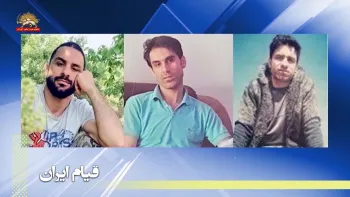 انتقال نوید افکاری و برادرانش به بند شکنجه تحت عنوان «عبرت» در زندان عادل آباد شیراز