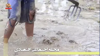 تجمعات و اعتراضات چند روز گذشته ـ رنج‌های برباد رفته ـ مجله اجتماعی اقتصادی