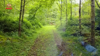 آوای آزادی ـ در میان گلها، صبحی دگر آید و رها شو