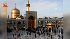 یازدهم ذیقعده میلاد هشتمین پیشوای تشیع انقلابی آفتاب تابان خراسان، ضامن و پناه بی پناهان علی بن موسی الرضا (ع)