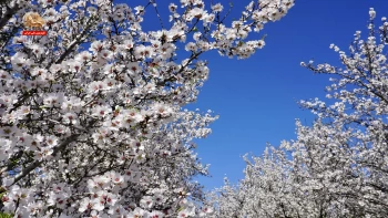 سیزده بدر ۱۴۰۴ همراه با سیمای آزادی ـ قسمت دوم