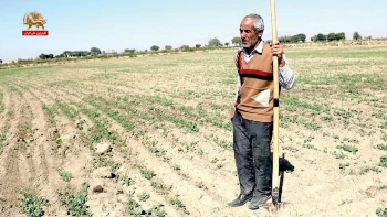 شمارش معکوس ـ کشاورزی ما و کشاورزی دیگران