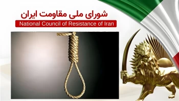 اعدام دست کم ۳۵۳ زندانی شامل ۵ زن در ۶۵ شهر و ۳۱ استان در بهمن ماه