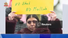 بازتاب تظاهرات یاران شورشگر در آلمان در رسانه‌های جهان