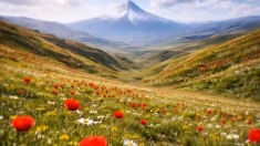 بیست و سومین روز جنگ-ایران در نقطه‌عطف تاریخ: از شعله‌های جنگ تا طلوع جایگزین دموکراتیک