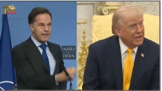 ترامپ رئیس‌جمهور آمریکا: ناتو ببر کاغذی است!