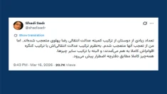 شادی صدر: همه چیز کاملاً مطابق دفترچه اضطرار پیش می‌رود