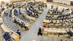 فراخوان جهانی علیه جنایات رژیم در شورای حقوق بشر سازمان ملل متحد 