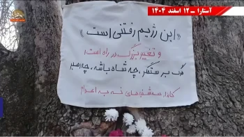 گسترش پراتیک «نه به اعدام» در ۲۴ شهر کشور، از تهران تا ماهشهر