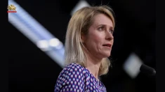  مسئول سیاست خارجی اتحادیه اروپا از آمریکا و اسراییل خواست جنگ با ایران را پایان دهند