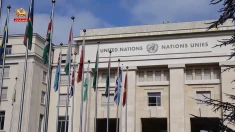 کنفرانس در مقر اروپایی سازمان ملل متحد