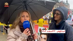 گفتگو با شرکت‌کنندگان در تظاهرات استکهلم