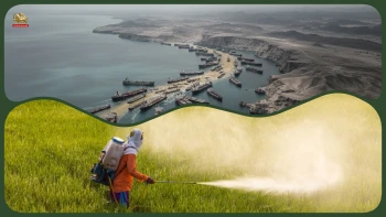 گزارش خبری: تنگه هرمز؛ شاهرگی که «غذای جهان» را گروگان گرفته است