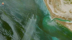 تمدید آتش‌بس؛ تنش‌ها فروکش نکرده، دیپلماسی ادامه دارد