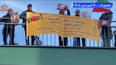 خروش یاران شورشگر در اروپا، از پل هامبورگ تا مقابل سفارت رژیم در کپنهاگ و برلین