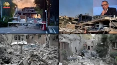 انستیتوی پاستور تهران غیرقابل استفاده شد؛ سازمان بهداشت جهانی تأیید کرد