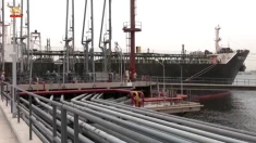  رویترز: افزایش بیش از ۵ درصدی قیمت نفت و متزلزل شدن بازارهای جهانی سهام به‌دلیل نگرانی از بسته شدن تنگه هرمز