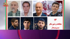 سربه‌داران به ما چه می‌گویند