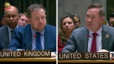 استیون داتی و مایک والتس: تنگه هرمز باید بدون قید و شرط بازگشایی شود، رژیم آخوندی نباید اقتصاد جهانی را گروگان بگیرد