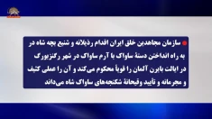 اقدام مجرمانه بچه شاه (۵)