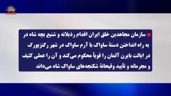 اقدام مجرمانه بچه شاه (۵)