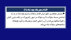 اقدام مجرمانه بچهٔ شاه (۱)