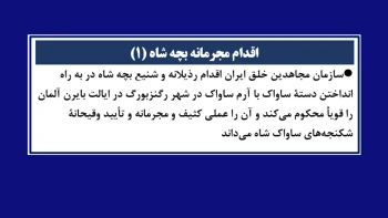 اقدام مجرمانه بچهٔ شاه (۱)