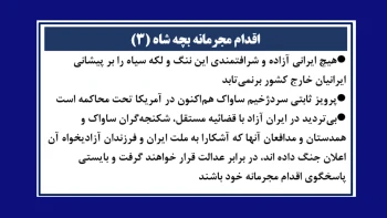 اقدام مجرمانه بچه شاه (۳)