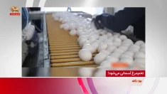 تخم‌مرغ آسمانی می‌شود!