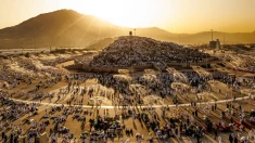 حضور بیش از ۱.۵ میلیون زائر در صحرای عرفات برای برگزاری مهمترین رکن حج