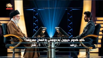 طنز میلیونر خاکستر نشین _پیک شادی