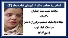 اسامی ۸ مجاهد دیگر از شهیدان قیام دیماه(۳)