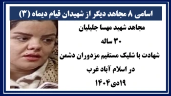 اسامی ۸ مجاهد دیگر از شهیدان قیام دیماه(۳)