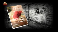 نسل‌کشی مجاهدین ـ قتل‌عام ۶۷ در شهرستان‌ها