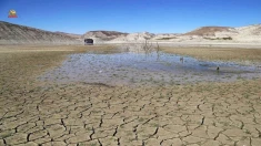 هشدار قرمز وزیر نیرو: ۱۰ استان ایران در آستانه «تنگنای آبی»