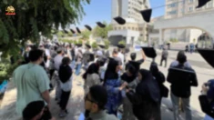 تجمع اعتراضی دانشجویان دانشگاههای آزاد در تهران و کرج و اهواز: دانشجو داد بزن حقتو فریاد بزن