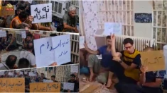 ادامه اعتصاب غذای زندانیان قزلحصار، درخواست فوری برای جلوگیری از اعدام‌ها 