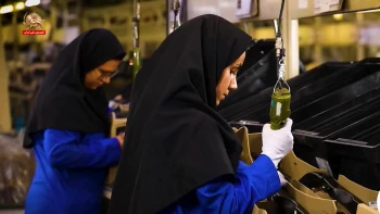 نابودی مشاغل زنان