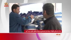 یک داستان کوتاه در باره حذف ارز ترجیحی و پیامدهای خوب و بد آن