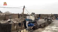 «خانه‌ریز» یا رؤیای خانه‌دار شدن؟ کارگر تهرانی چند سال باید منتظر بماند؟