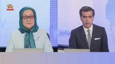 همیاری ۳۰، کارزار استقلال و آزادی؛ ارتباط مستقیم
