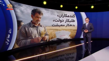 گندمکاران طلبکار دولت؛ بدهکار معیشت