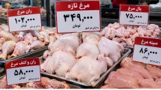 افزایش قیمت مرغ در مشهد؛ هر کیلو به ۳۴۹هزار تومان رسید