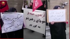 بالا گرفتن جنگ گرگها، تجمع مقابل منزل حسن روحانی