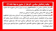 بیانیه زندانیان سیاسی - انزجار از مشوق به بچهٔ شاه